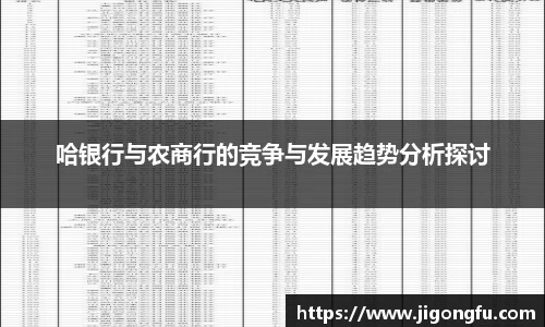哈银行与农商行的竞争与发展趋势分析探讨